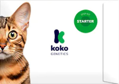 Koko Genetics Expert And Consumer Review 2026 Photo Inspiration